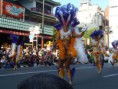 /album/samba-carneval/a2013-08-31-09-42-25-jpg/